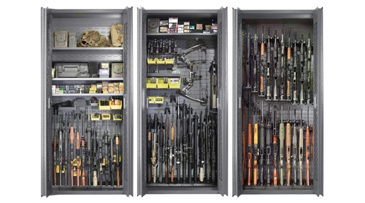 Firearms Storage
